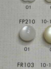 FP210 DAIYA BUTTONS زر بوليستر بمظهر الصدف (نصف قبة)[أزرار] DAIYA BUTTON صور إضافية
