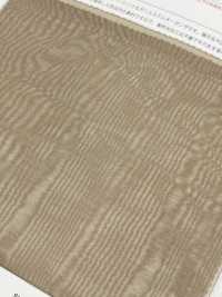 FR2440 أورغانزا بوليستر مقاومة للهب[Textile / Fabric] Suncorona Oda صور إضافية