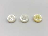 HD83 DAIYA BUTTONS سلسلة HYPER DURABLE المقاومة للصدمات أزرار بوليستر بنمط الصدفة DAIYA BUTTON صور إضافية