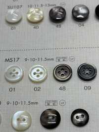 MS17 DAIYA BUTTONS زر بوليستر بمظهر الصدف[أزرار] DAIYA BUTTON صور إضافية