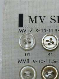 MV17 زر بوليستر بمظهر الصدف من DAIYA BUTTONS[أزرار] DAIYA BUTTON صور إضافية