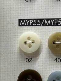 MYP55 زر لامع بسيط بأربع فتحات[أزرار] DAIYA BUTTON صور إضافية