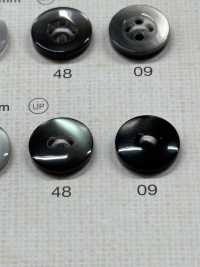 NRS110 DAIYA BUTTONS زر بوليستر بتأثير الصدف[أزرار] DAIYA BUTTON صور إضافية