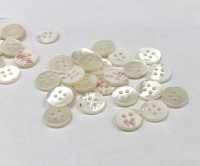 PH100 زر صدف مسطح بأربع فتحات[Buttons] Sakamoto Saji Shoten صور إضافية
