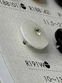 R191W زر من راتنج البوليستر[أزرار] DAIYA BUTTON صور إضافية