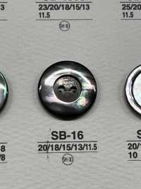 SB16 زر صدفي[Buttons] IRIS صور إضافية