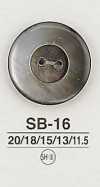 SB16 زر صدفي
