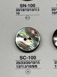 SC100 زر لامع ذو فتحتين من صدف طبيعي[أزرار] IRIS صور إضافية