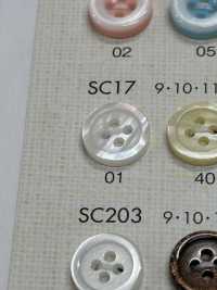 SC17 زر بوليستر بنمط الصدف من سلسلة HYPER DURABLE المقاومة للصدمات من DAIYA BUTTONS[أزرار] DAIYA BUTTON صور إضافية