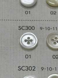 SC300 DAIYA BUTTONS زر بوليستر شبيه بالصدفة[أزرار] DAIYA BUTTON صور إضافية
