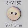 SHV150 زر صدفي بفتحتين