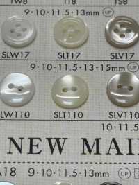 SLT110 DAIYA BUTTONS زر بوليستر بشكل الصدف[أزرار] DAIYA BUTTON صور إضافية
