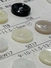 SLT17 DAIYA BUTTONS زر بوليستر بشكل الصدفة[أزرار] DAIYA BUTTON صور إضافية
