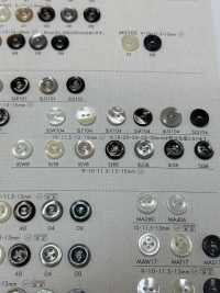 SLW8 DAIYA BUTTONS أزرار بوليستر على شكل الصدف DAIYA BUTTON صور إضافية