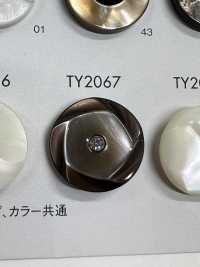 TY2067 زر من راتنج البوليستر[أزرار] DAIYA BUTTON صور إضافية
