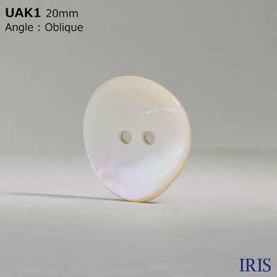 UAK1 زر لامع ثنائي الفتحات مصبوغ بقشرة طبيعية[Buttons] IRIS صور إضافية