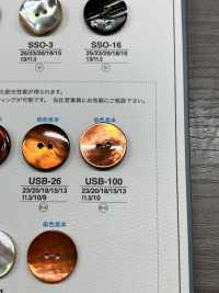 USB100 زر من صدفة عرق اللؤلؤ الطبيعي المصبوغ بالأسود، بفتحتين أماميتين، لامع[أزرار] IRIS صور إضافية