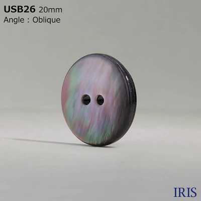 USB26 صدفة أم اللؤلؤ المصبوغة طبيعيًا باللون الأسود، زر أمامي لامع ذو فتحتين[Buttons] IRIS صور إضافية