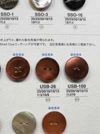 USB26 صدفة أم اللؤلؤ المصبوغة طبيعيًا باللون الأسود، زر أمامي لامع ذو فتحتين[Buttons] IRIS صور إضافية