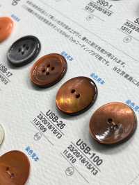 USB26 صدفة أم اللؤلؤ المصبوغة طبيعيًا باللون الأسود، زر أمامي لامع ذو فتحتين[Buttons] IRIS صور إضافية