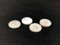 UST26 مادة طبيعية، مصبوغ، مصنوع من Takase Shell، أمامي ذو فتحتين، زر لامع[Buttons] IRIS صور إضافية