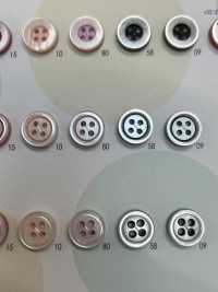 VT9970 زر من راتنج البوليستر بأربعة ثقوب[Buttons] IRIS صور إضافية