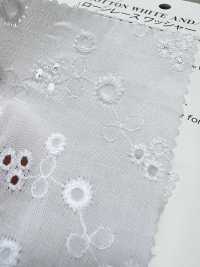 6570 دانتيل لاون[Textile / Fabric] VANCET صور إضافية