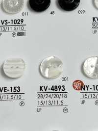 KV4893 أزرار القمصان للتلوين IRIS صور إضافية