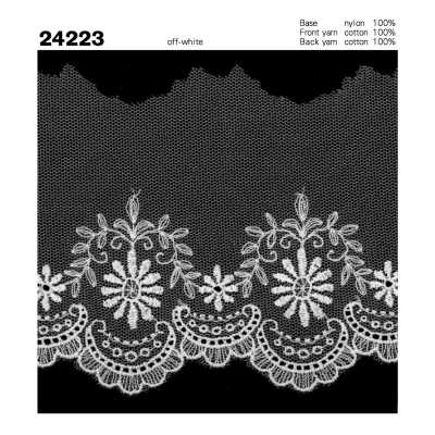 24223 دانتيل تول