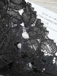 12683 دانتيل راشيل من القطن والنايلون[Textile / Fabric] SUNWELL صور إضافية