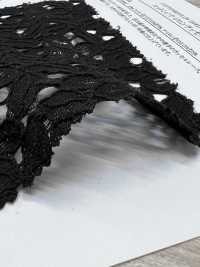 12683 دانتيل راشيل من القطن والنايلون[Textile / Fabric] SUNWELL صور إضافية