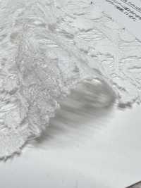 12836 دانتيل راشل قطن/نايلون/كتان[Textile / Fabric] SUNWELL صور إضافية