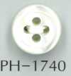 PH1740 مقاس 17، زر من الصدف بسماكة 4mm