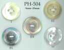 PH504 زر صدفي واسع الحافة بأربعة ثقوب