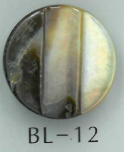 BL-12 زر صدف طبيعي بساق متدرجة