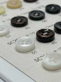 SC206 DAIYA BUTTONS سلسلة HYPER DURABLE المقاومة للصدمات أزرار بوليستر على شكل صدفة[Buttons] DAIYA BUTTON صور إضافية