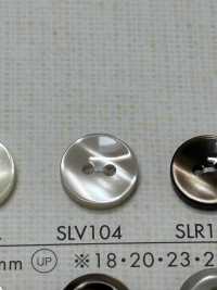 SLV104 DAIYA BUTTONS زر بوليستر بمظهر الصدف[أزرار] DAIYA BUTTON صور إضافية