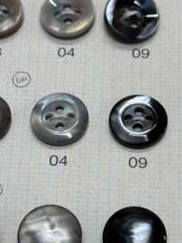 SU105 DAIYA BUTTONS زر بوليستر بمظهر الصدف[أزرار] DAIYA BUTTON صور إضافية