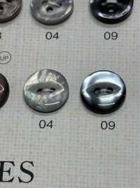 SU108 DAIYA BUTTONS زر بوليستر بشكل الصدف[Buttons] DAIYA BUTTON صور إضافية