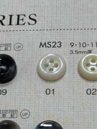 MS23 DAIYA BUTTONS زر بوليستر بمظهر الصدف[Buttons] DAIYA BUTTON صور إضافية