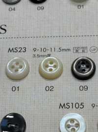 MS23 DAIYA BUTTONS زر بوليستر بمظهر الصدف[Buttons] DAIYA BUTTON صور إضافية