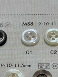 MS8 DAIYA BUTTONS أزرار بوليستر على شكل الصدف[Buttons] DAIYA BUTTON صور إضافية