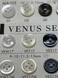 VES17 DAIYA BUTTONS زر بوليستر بشكل الصدفة[أزرار] DAIYA BUTTON صور إضافية