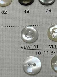 VEW101 DAIYA BUTTONS زر بوليستر بمظهر الصدف[Buttons] DAIYA BUTTON صور إضافية
