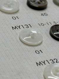 MY131 DAIYA BUTTONS زر بوليستر بشكل الصدف[Buttons] DAIYA BUTTON صور إضافية