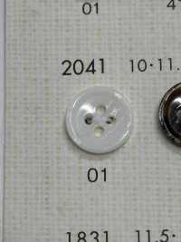 2041 DAIYA BUTTONS زر بوليستر بشكل الصدف[Buttons] DAIYA BUTTON صور إضافية
