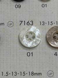 7163 DAIYA BUTTONS زر بوليستر يشبه الصدف[أزرار] DAIYA BUTTON صور إضافية