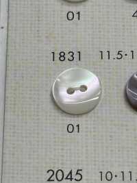 1831 DAIYA BUTTONS أزرار بوليستر بنمط الصَدَفة DAIYA BUTTON صور إضافية