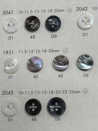 1831 DAIYA BUTTONS أزرار بوليستر بنمط الصَدَفة DAIYA BUTTON صور إضافية