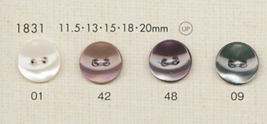 1831 DAIYA BUTTONS أزرار بوليستر بنمط الصَدَفة